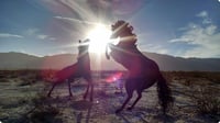 horses.jpg